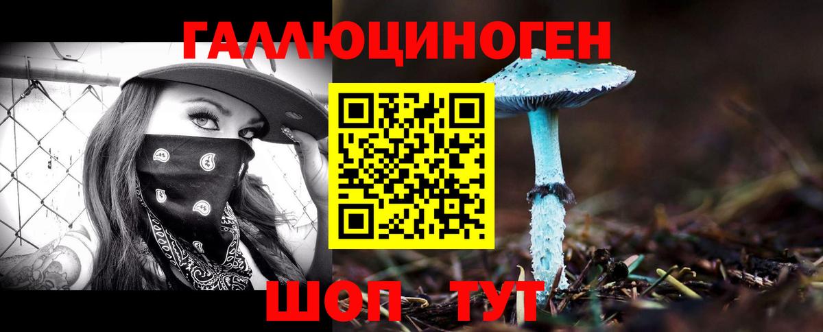 Галлюциногенные грибы Psilocybe Печора