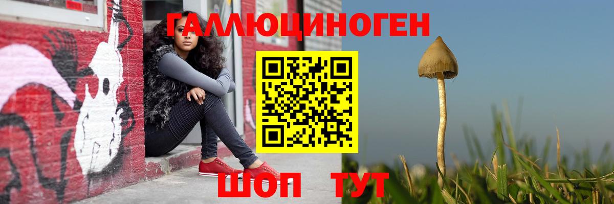 Псилоцибиновые грибы Psilocybine cubensis  Вход с VPN  что такое   Печора 
